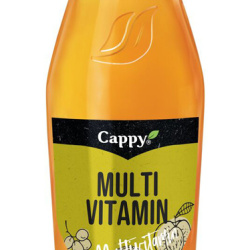 Cappy Multivitaminai 0.25
